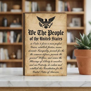 May include: A wooden plaque featuring the text "We The People of the United States" and an eagle emblem. The text is in black on a parchment-style background. A small succulent plant in a terracotta pot is visible in the background.