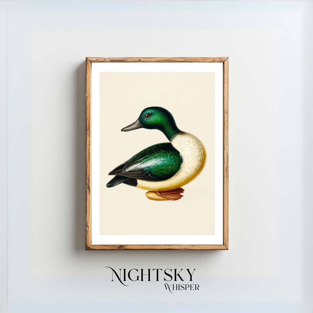 Vintage Duck Decoy Print Digital Download Retro Duck Prints Duck ...