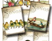 Sweet Bird Songs Digital Collage Sheet Instant Download for Scrapbooking Tags Crafts Whimsical Altered Art by Gallery Cat CS66