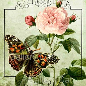 Old English Roses with Butterfly Digital Collage Sheet Instant Download for Paper Crafts Original Whimsical Altered Art by GalleryCat CS8 image 4