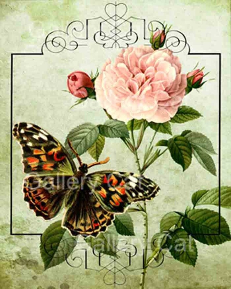 Old English Roses with Butterfly Digital Collage Sheet Instant Download for Paper Crafts Original Whimsical Altered Art by GalleryCat CS8 image 4