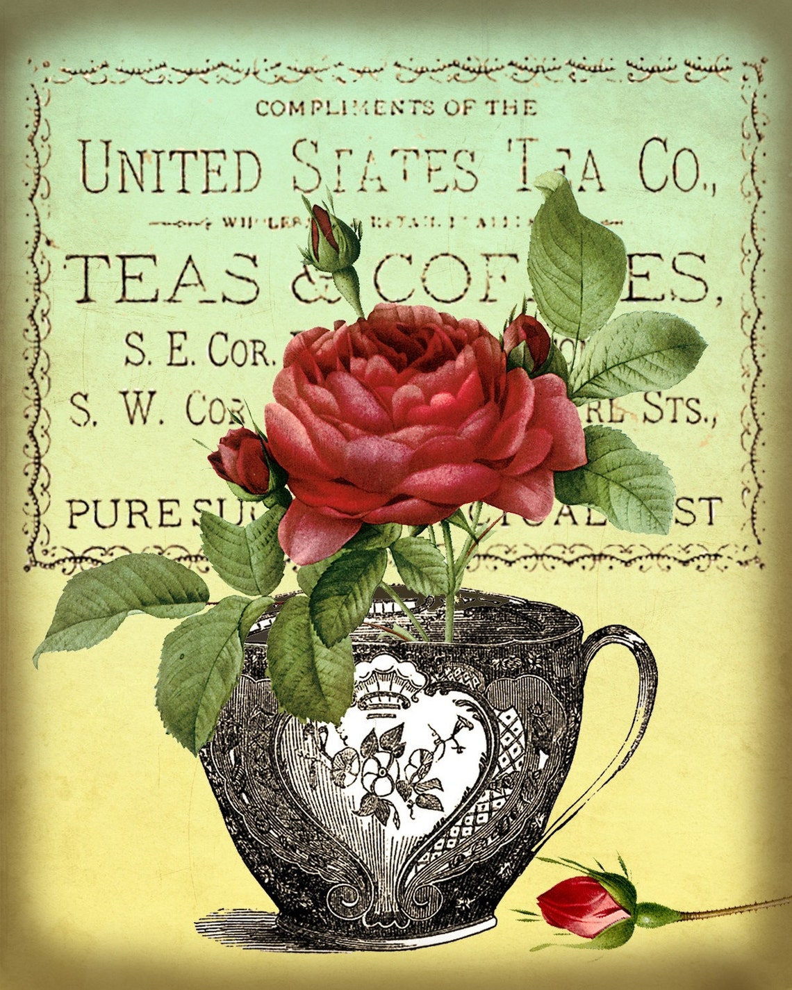 Antique Tea Cups and Roses Digital Collage Sheet Instant Etsy