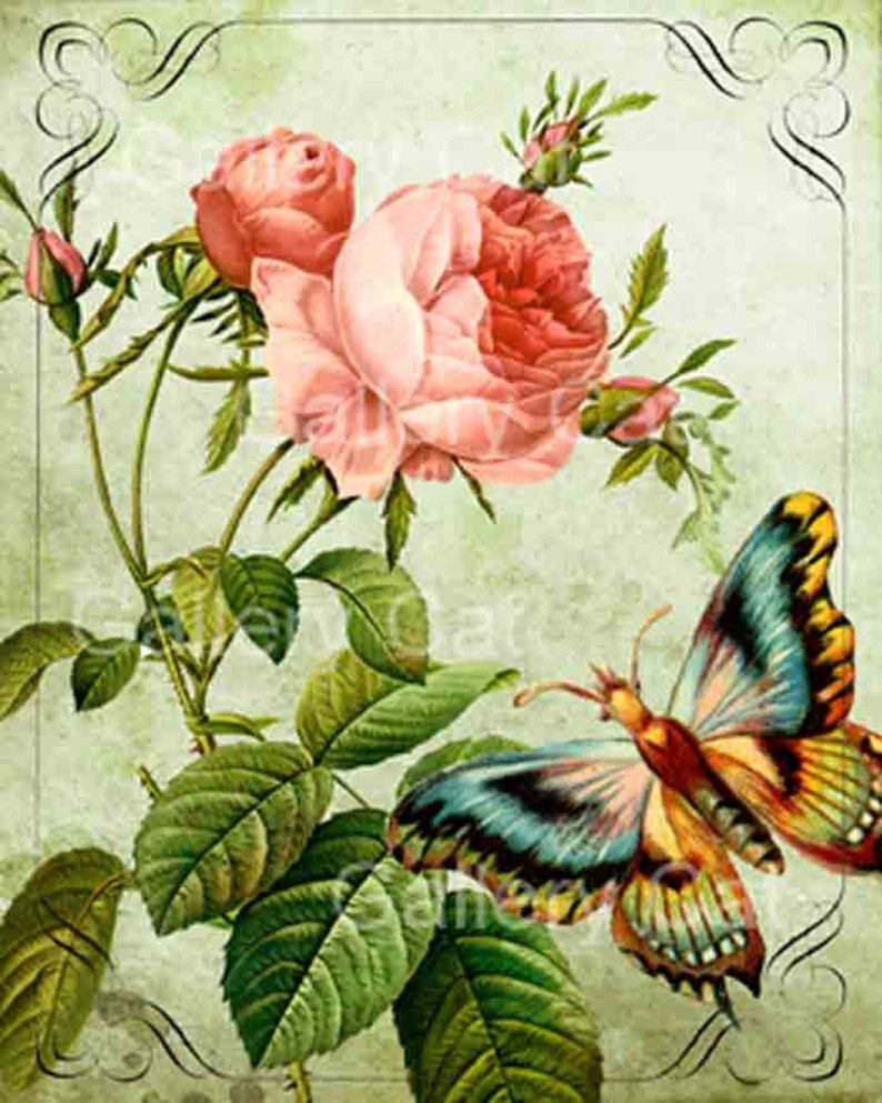 Old English Roses with Butterfly Digital Collage Sheet Instant Download for Paper Crafts Original Whimsical Altered Art by GalleryCat CS8 image 3