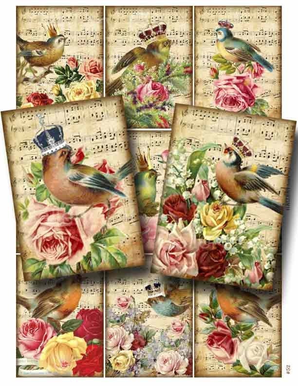 Majestic Songbirds Digital Collage Sheet Instant Download for Paper C…