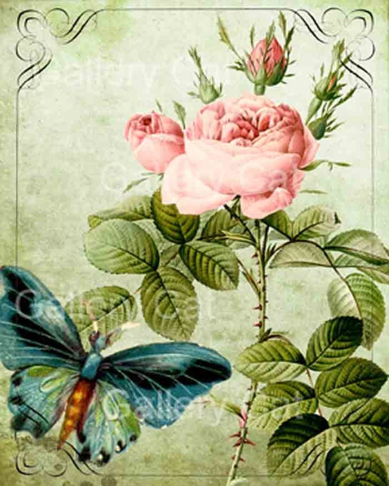 Old English Roses with Butterfly Digital Collage Sheet Instant Download for Paper Crafts Original Whimsical Altered Art by GalleryCat CS8 image 5