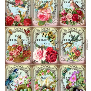 Vintage Birds and Bees Digital Collage Sheet Instant Download for Paper Crafts Cards Tags Original Whimsical Altered Art by GalleryCat CS31 imagen 2