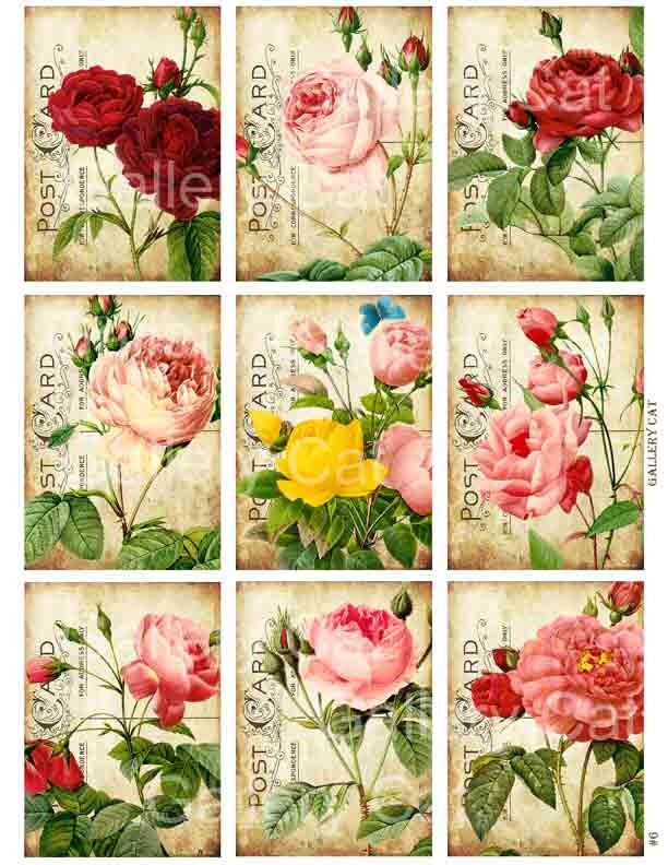 Heirloom Roses on Old Postcard  Digital Collage Sheet Instant Downloa…