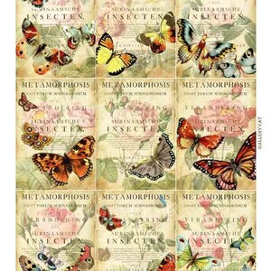 Butterfly Metamorphosis Digital Collage Sheet Instant Download for Paper Crafts Original Whimsical Altered Art by Gallery Cat CS41 image 2