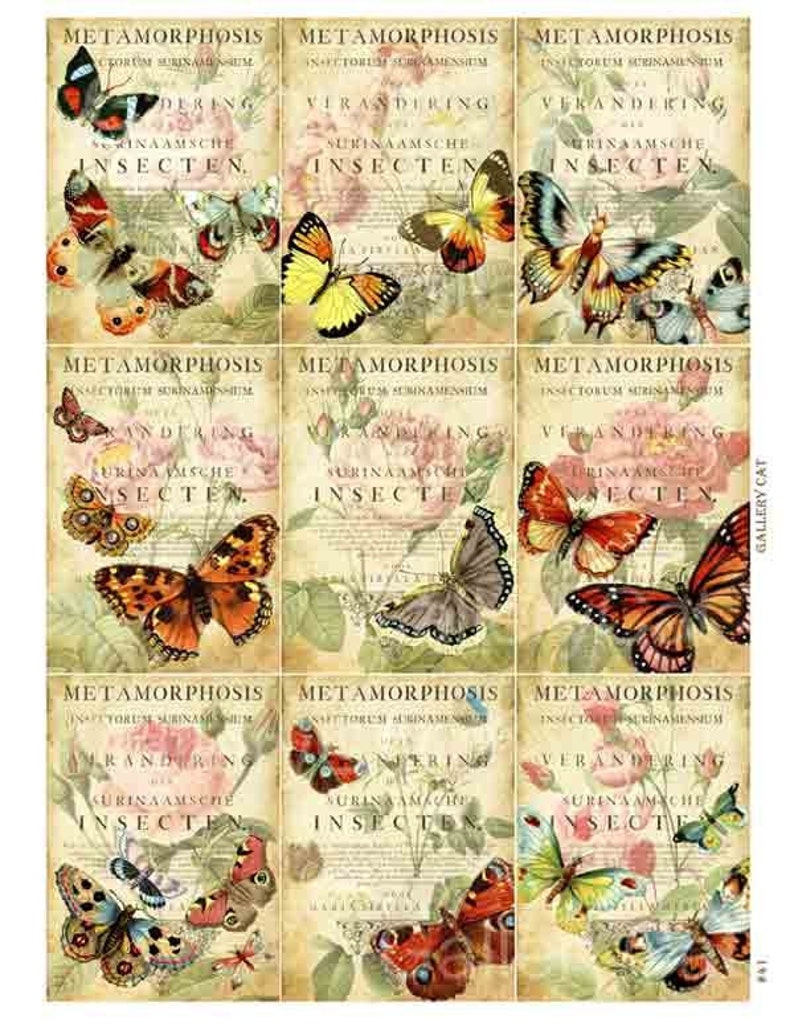 Butterfly Metamorphosis Digital Collage Sheet Instant Download for Paper Crafts Original Whimsical Altered Art by Gallery Cat CS41 image 2