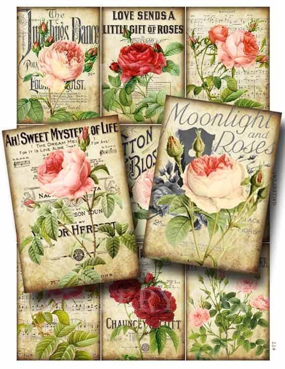 Roses and Romance  Digital Collage Sheet Instant Download for Paper C…