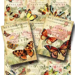 Butterfly Metamorphosis Digital Collage Sheet Instant Download for Paper Crafts Original Whimsical Altered Art by Gallery Cat CS41 image 1