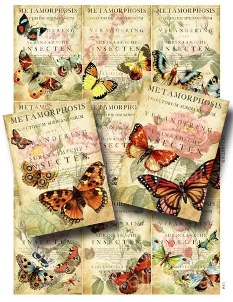 Butterfly Metamorphosis Digital Collage Sheet Instant Download for Paper Crafts Original Whimsical Altered Art by Gallery Cat CS41 image 1