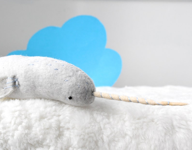 baby narwhal image 4