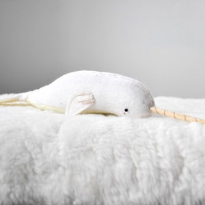 baby narwhal image 6