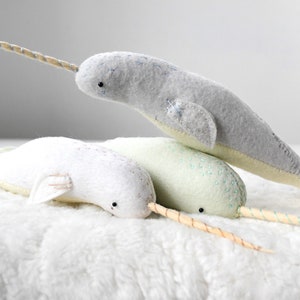 baby narwhal image 3
