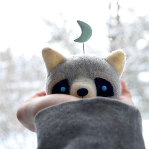 Raccoon idol image 2