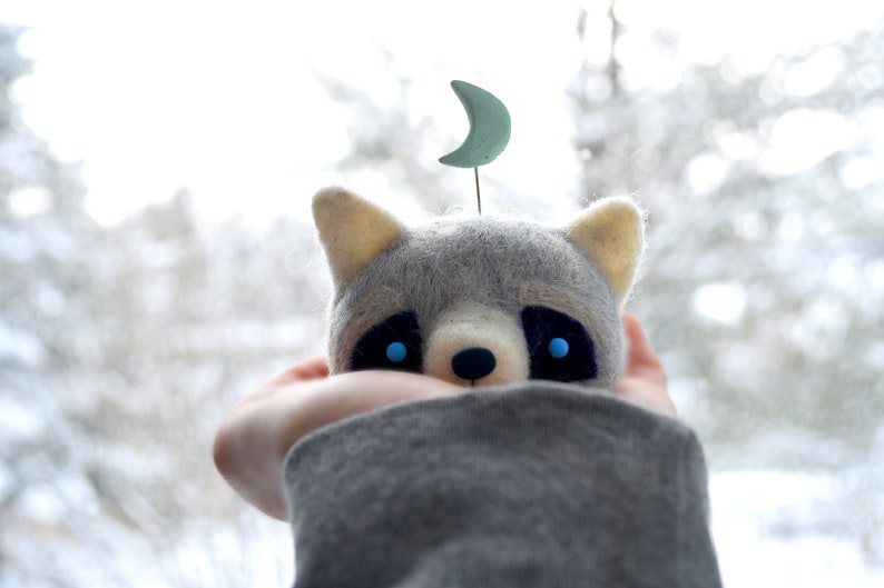 Raccoon idol image 2