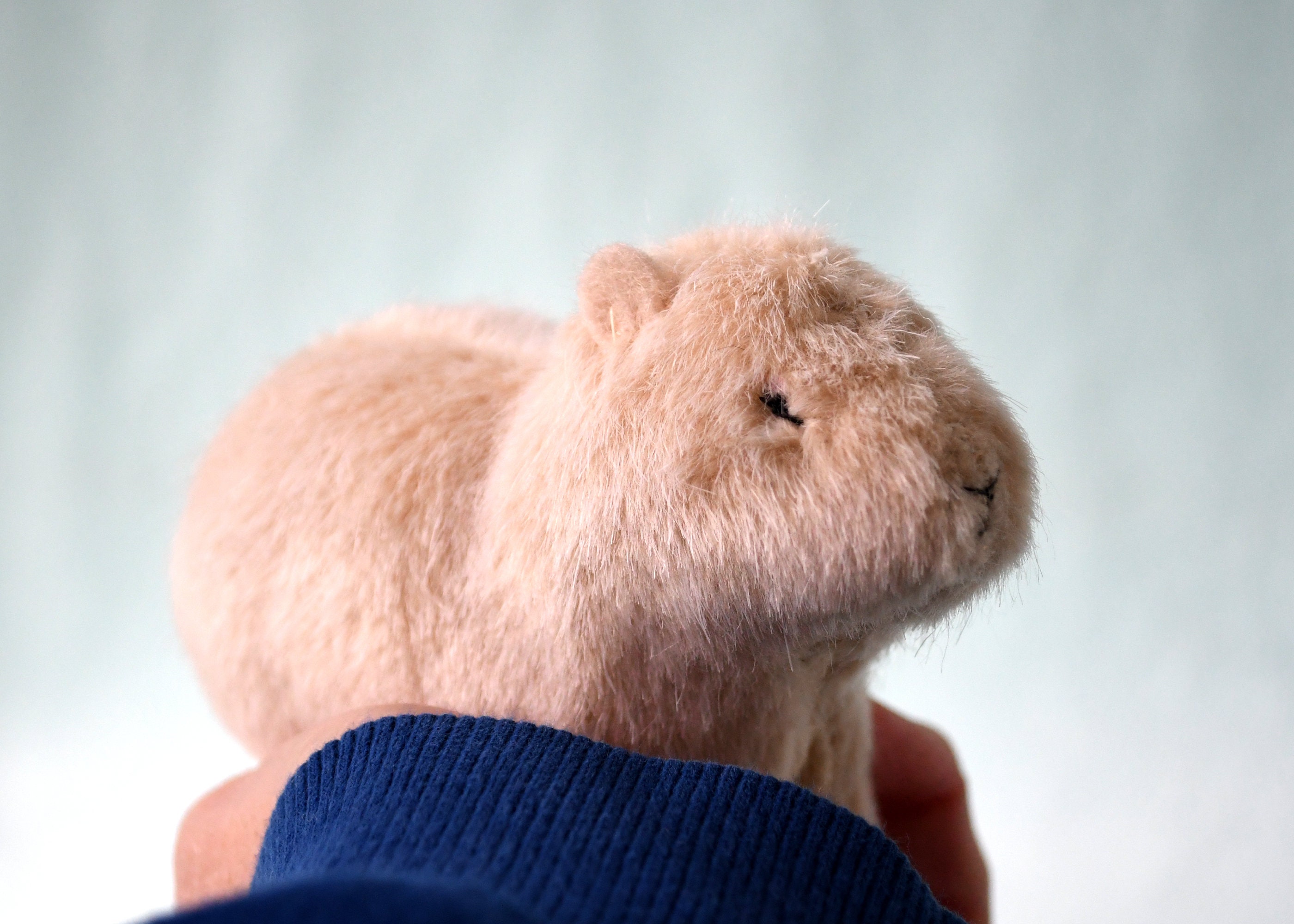 Capybara-Plüschtier mit Baby, 36,8 cm, Capybara-Plüschtier mit 4  Baby-Geschenkspielzeugen für Mädchen, Jungen, Kinder, Kleinkinder –  De.Ouozzzshop