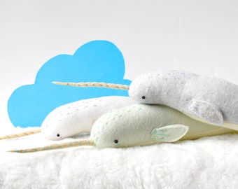 baby narwhal