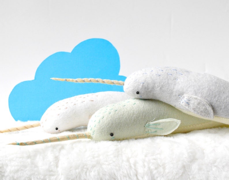 baby narwhal image 1