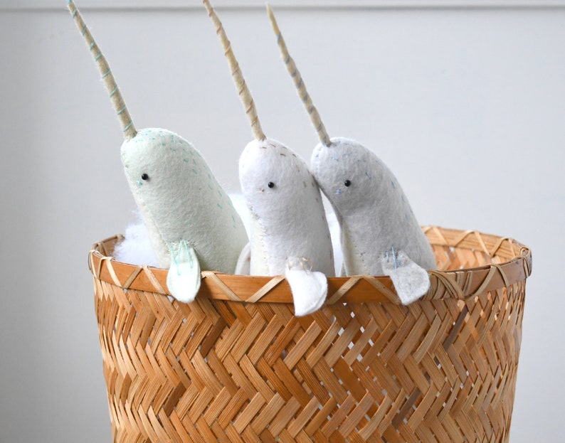 baby narwhal image 8