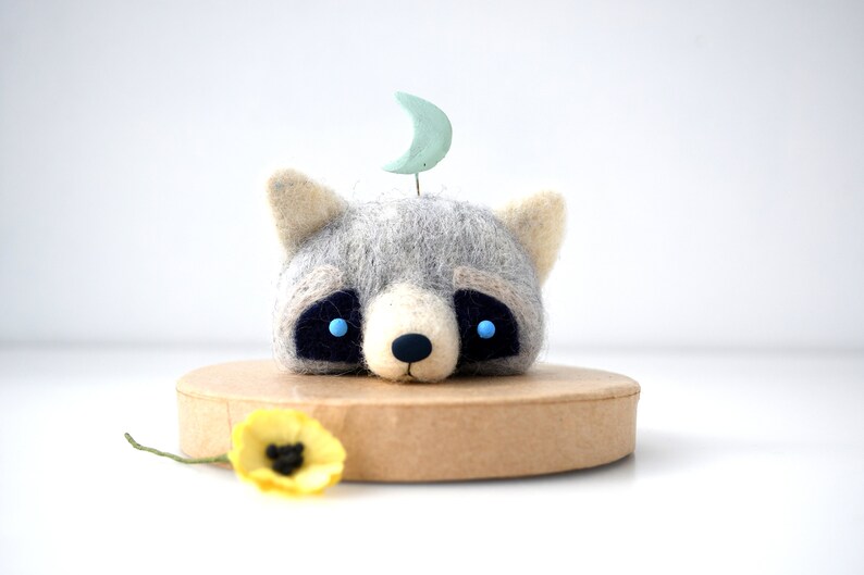Raccoon idol image 5