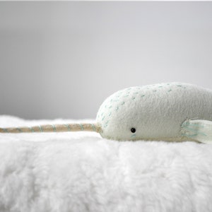 baby narwhal image 5