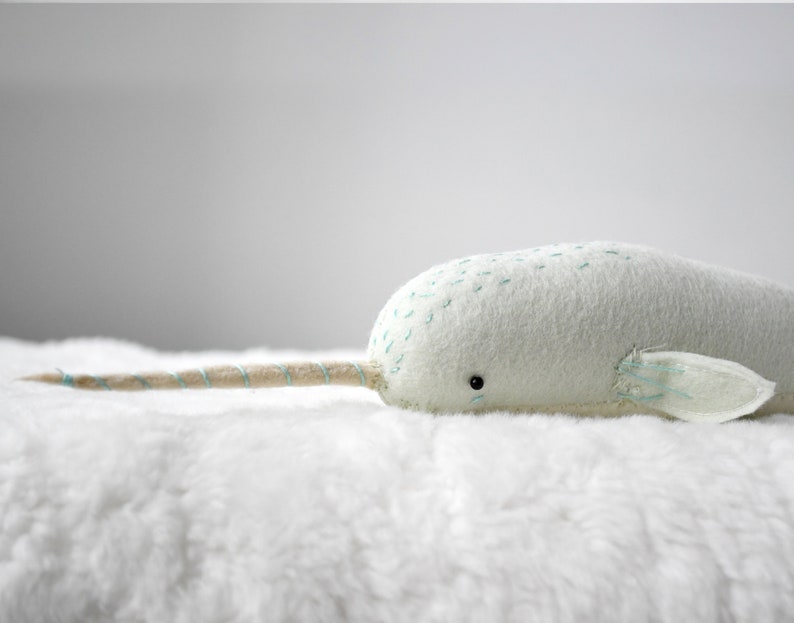 baby narwhal image 5