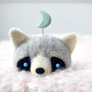 Raccoon idol image 1