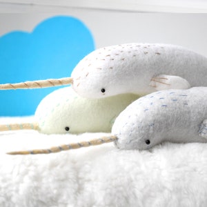 baby narwhal image 2