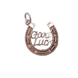Vintage 925 Sterling Silver Good Luck Horseshoe Charm Bracelet Lucky Pendant Jewellery Gift