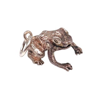 Könnte beinhalten: Ein detaillierter silberner Frosch-Anhänger mit strukturierter Oberfläche. Der Frosch ist in einer hockenden Position dargestellt, mit sichtbaren Augen und Gliedmaßen. Eine kleine Silberschlaufe ist zum Aufhängen angebracht. Weißer Hintergrund.