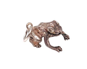 May include: A detailed silver frog charm with a textured surface. The frog is depicted in a crouching position, with visible eyes and limbs. A small silver loop is attached for hanging. The charm is set against a white background.