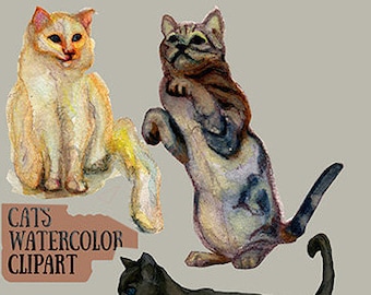 Watercolour Clipart Cats - Cat Clip Art -Hand Drawn Clip Art,Painted Cat Clip Art ,kitten Watercolor,Scrapbooking,Instant Download