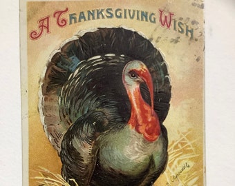 Ellen Clapsaddle signed Thanksgiving postcard ~1910, Turkey in a haystack, “A Thanksgiving Wish”