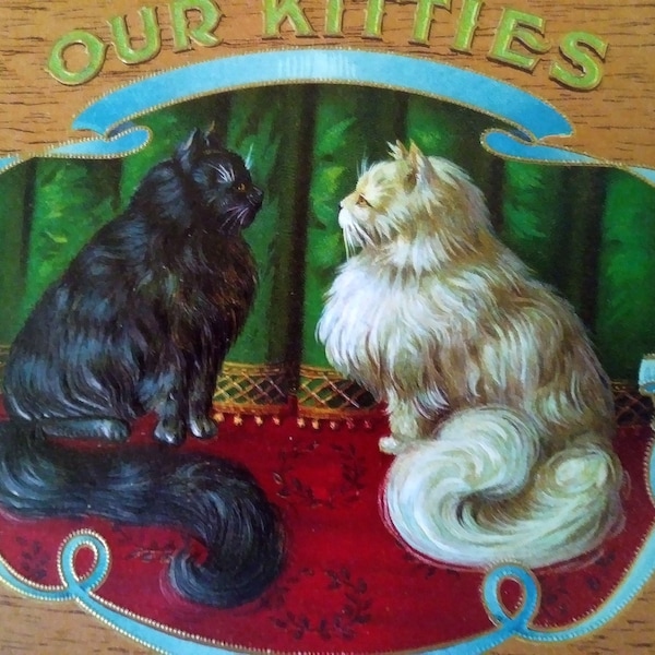 Cigar Box Labels - Our Kitties - with Persian Cats - New Old Stock NOS