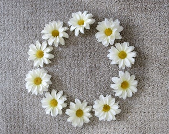 May include: A circular arrangement of white daisy flowers with yellow centers. The daisies are evenly spaced against a neutral, textured background. The flowers are in full bloom, showcasing their delicate petals.