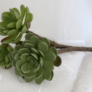 May include: Artificial succulent stems with green, fleshy leaves and brown stems. The faux plants are arranged on a white, textured surface, creating a natural, decorative element. Perfect for home decor or crafting projects.