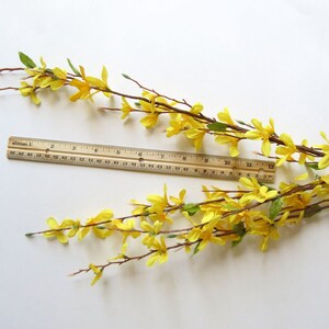 May include: Artificial forsythia branches with bright yellow flowers and green leaves. A wooden ruler is placed across the branches. The branches are on a white background. The ruler is 12 inches long.