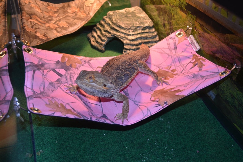 Diy Bearded Dragon Hammock / DIY Reptile Habitat Additions That Will Save Your Wallet Gather