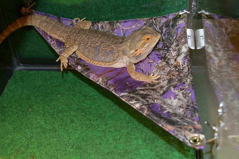 Diy Bearded Dragon Hammock / DIY Reptile Habitat Additions That Will