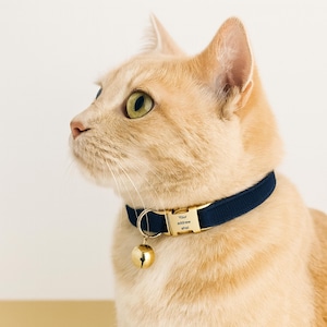 Personalized Velvet Cat Collar with Bell: Custom Pet Name, Adjustable