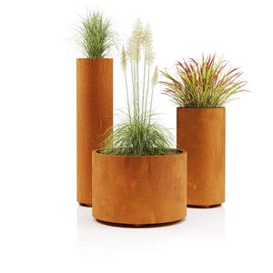 Pode incluir: Três floreiras cilíndricas de metal laranja enferrujado de diferentes alturas. Contêm gramíneas ornamentais. A mais alta é uma coluna esguia, as outras são mais curtas e largas. As plantas apresentam tons verdes e avermelhados.