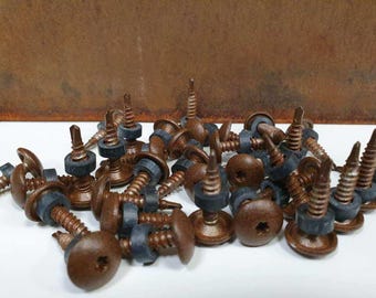 Corten Color Self Drilling Screws Metal Roofing Screws Rust Look Screws for Corten Steel Sheets fасade screws