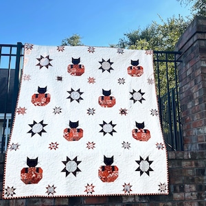 May include: A white quilt with a repeating pattern of black cat silhouettes on orange and red geometric shapes, alongside black and white starbursts and smaller red stars. The quilt is displayed outdoors.