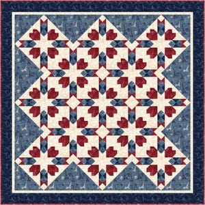 Può includere: Una trapunta quadrata con un motivo a stelle ripetute in rosso, bianco e blu. Le stelle sono disposte su uno sfondo color crema, con un bordo blu fantasia e un bordo esterno blu scuro. La trapunta ha un tema patriottico.