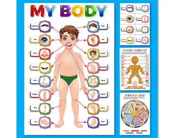 May include: Educational poster titled "MY BODY" with a cartoon illustration of a child, labeling body parts. Includes a crossword puzzle and a senses puzzle. The poster is framed in a blue border, designed for educational purposes.