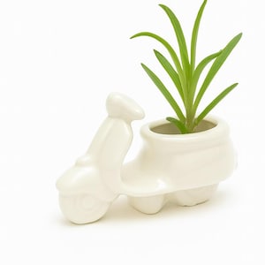 elho blumenkasten corsica Elho Balkonkasten Corsica Easy balcony oval anthrazit