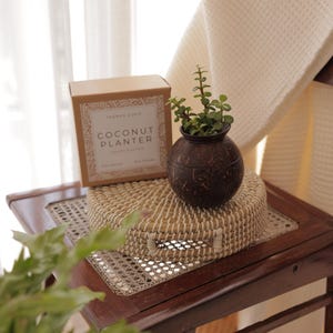 Coconut Shell Plant Pot | Handmade Indoor Planter with Cork Base | Gift for Plant Lovers |