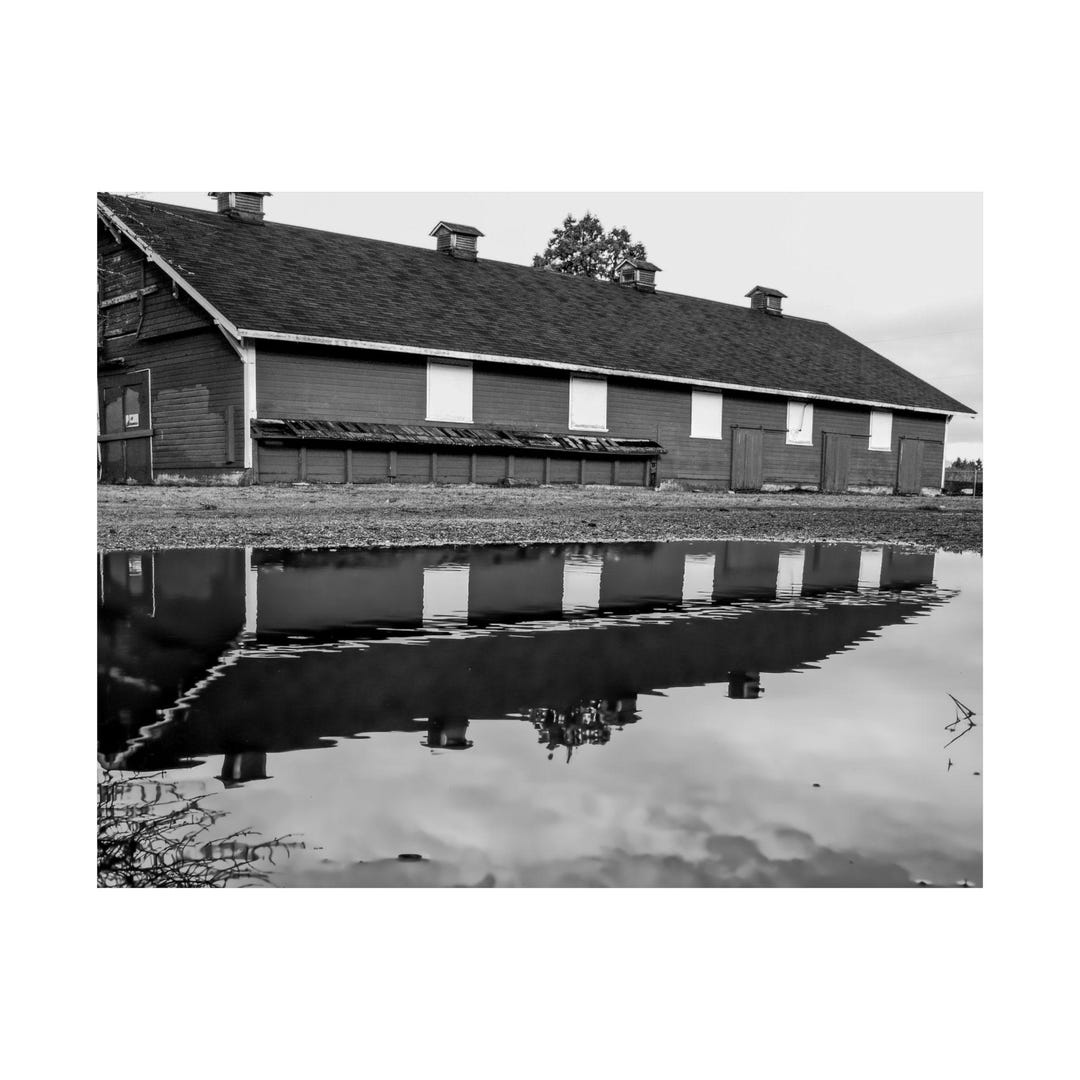 Black and White Barn Poster, PNW Landscape, Nature Reflection Art, Calm ...